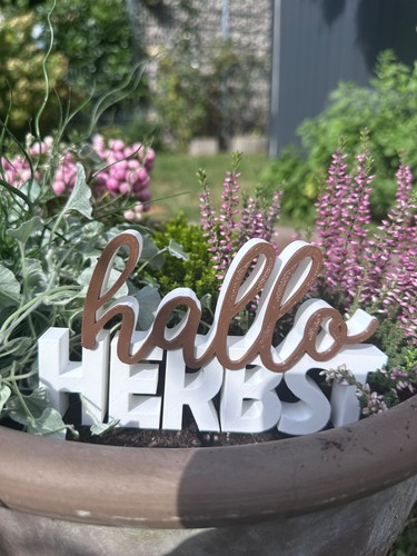 Hallo herbst deko - hallo,