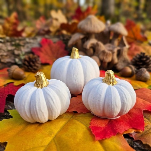 Kürbis herbstdeko herbst - kürbis,