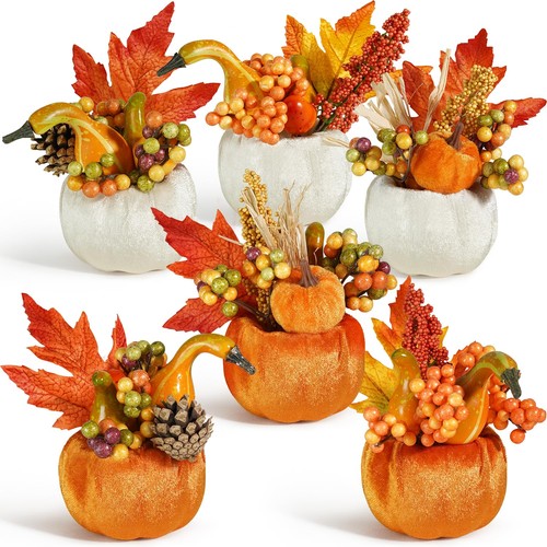 Kürbis dekoration herbst - kürbis,