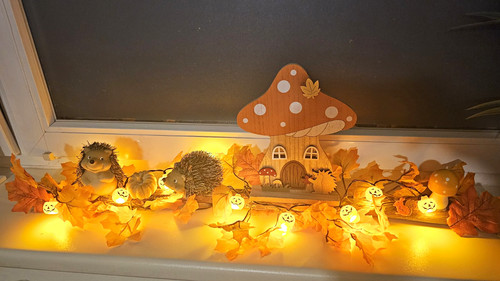 Led herbst lichterkette ast - herbst,