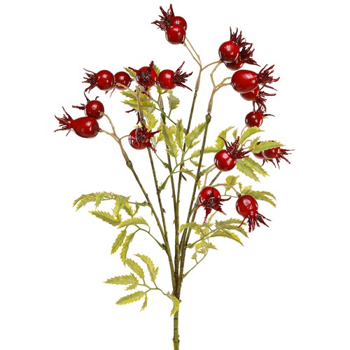 Filigrane