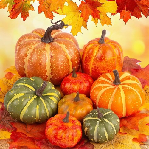 Kürbis set herbst deko - set,
